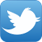 Twitter Icon